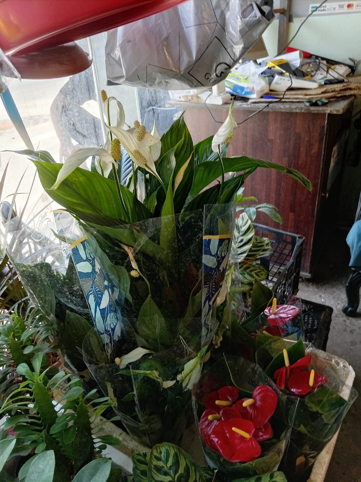 عمل تنسيق حدائق